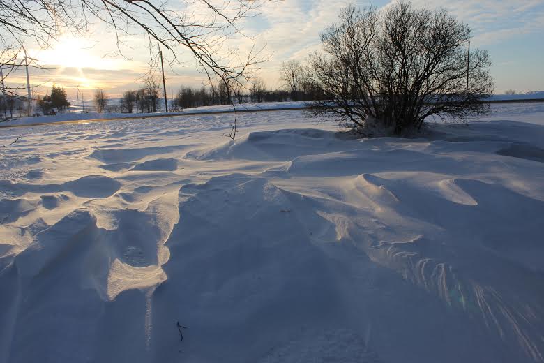 Polar vortex Strikes the States