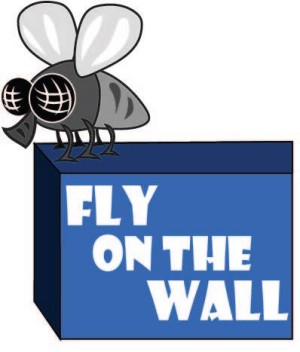 fly on the wall