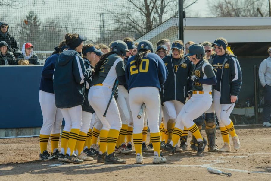 Siena+Snapshot%3A+Softball+vs.+Michigan-Dearborn