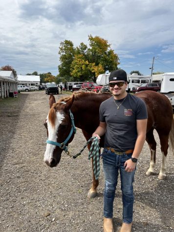 Saddle Up - How to Ride a Horse